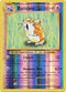 67/108 Raticate Rare Reverse Holo XY Evolutions - The Feisty Lizard