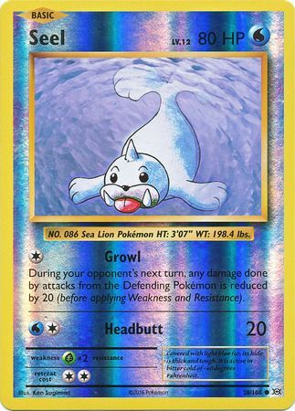 28/108 Seel Common Reverse Holo XY Evolutions - The Feisty Lizard